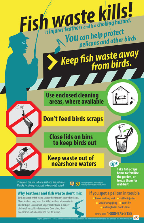 Fishwaste Poster