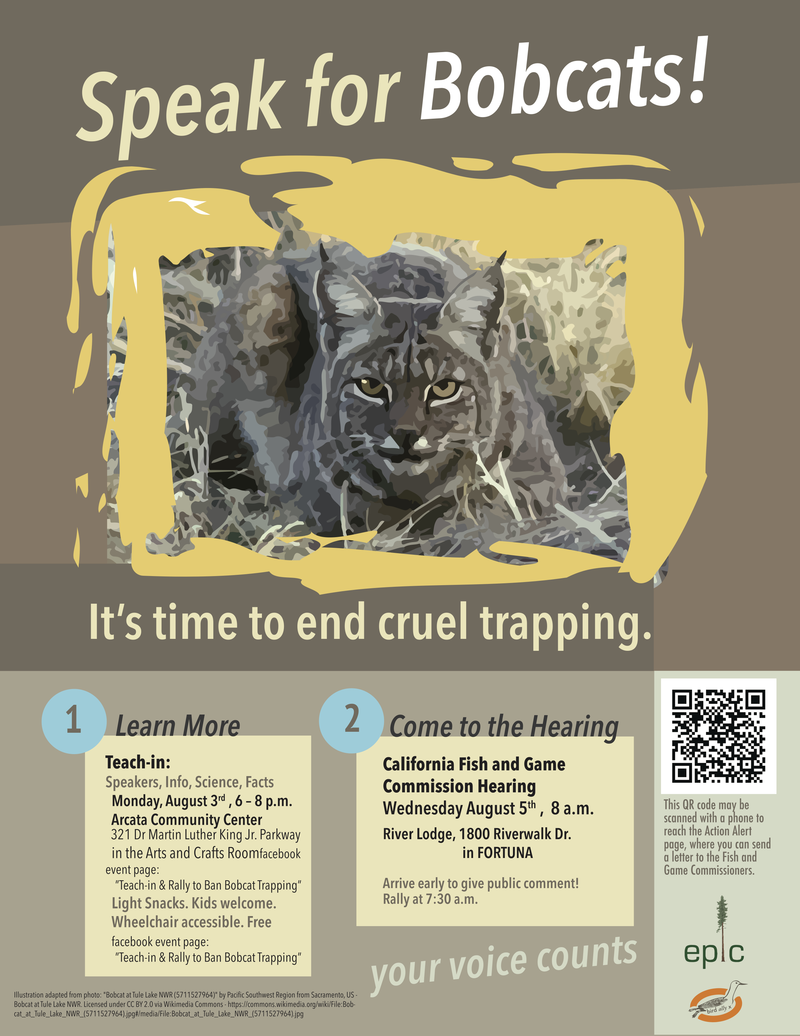 Ban Bobcat Trapping! – Bird Ally X