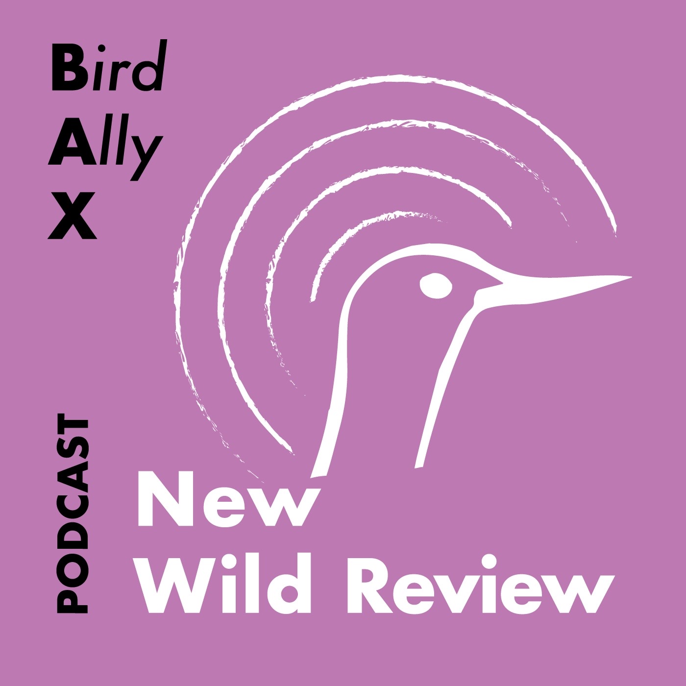 Bird Ally X: New Wild Review